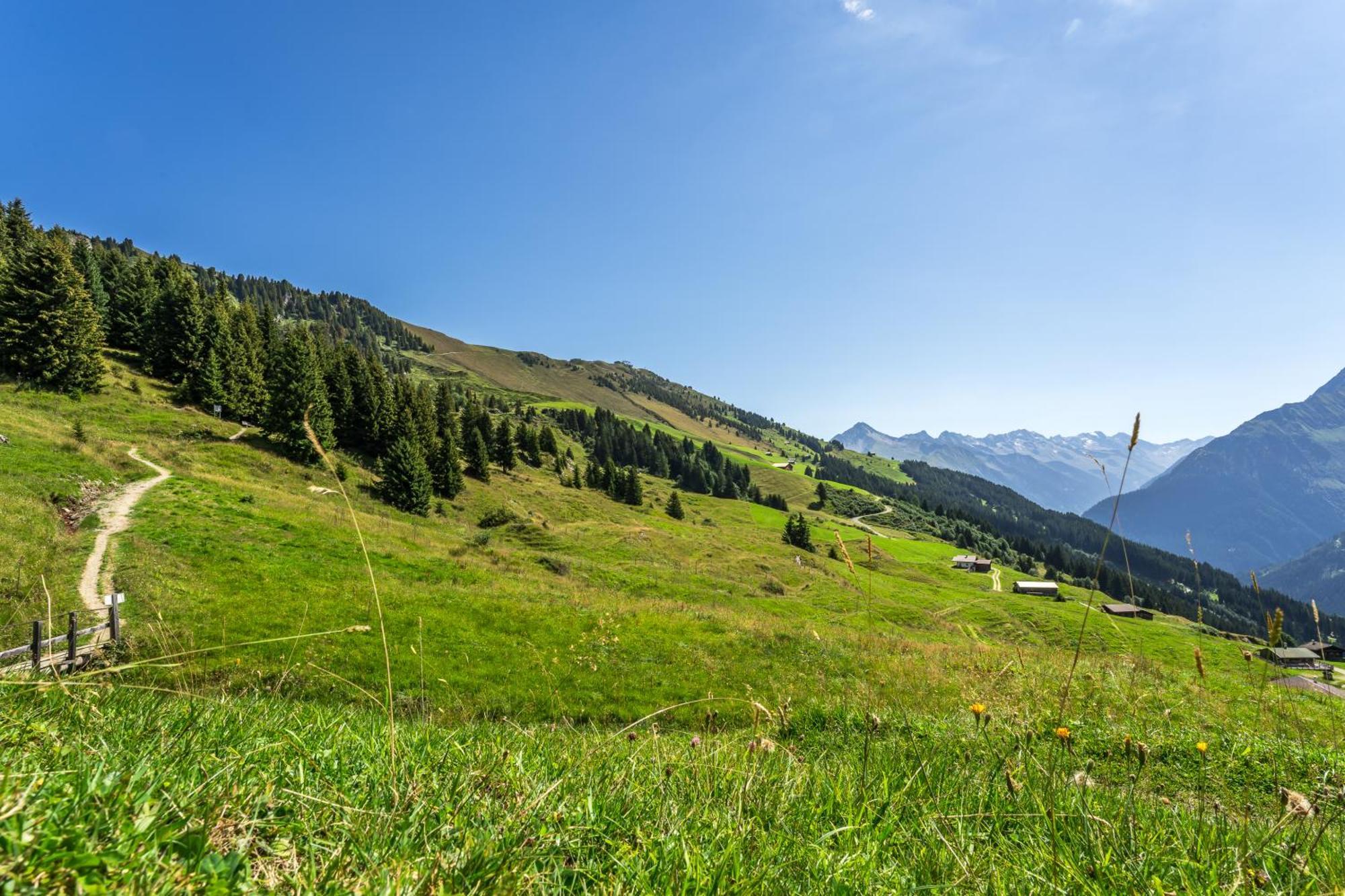 Gasthof Fernerblick