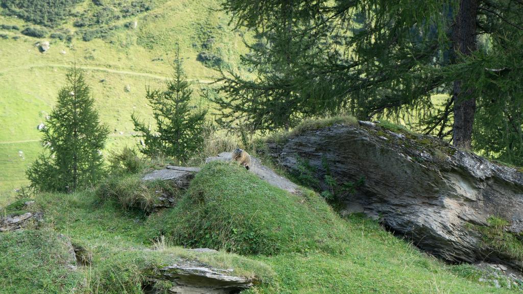 Gasthof Fernerblick 3*